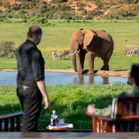 Gorah Elephant Camp Addo Esterno foto