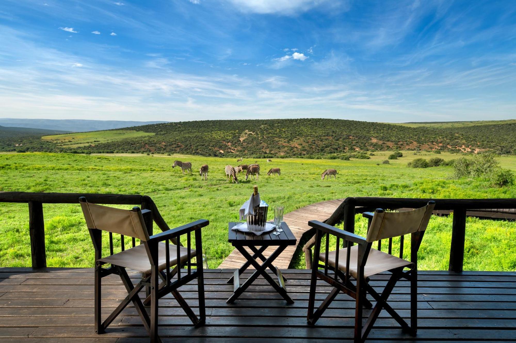 Gorah Elephant Camp Addo Esterno foto