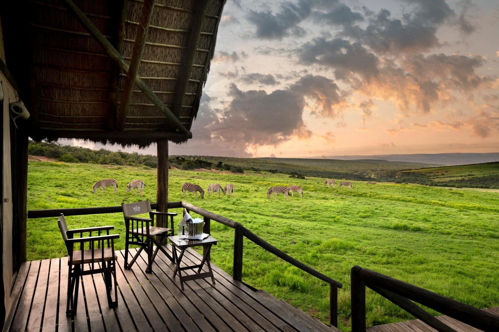 Gorah Elephant Camp Addo Esterno foto