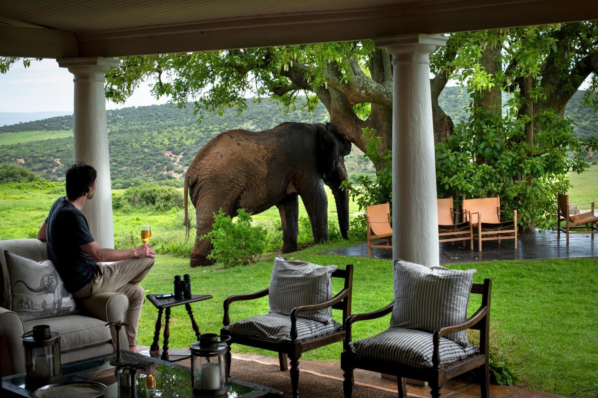 Gorah Elephant Camp Addo Esterno foto