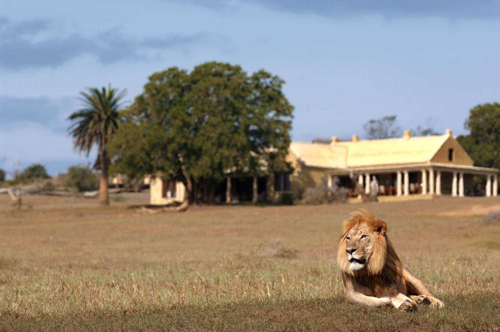 Gorah Elephant Camp Addo Esterno foto