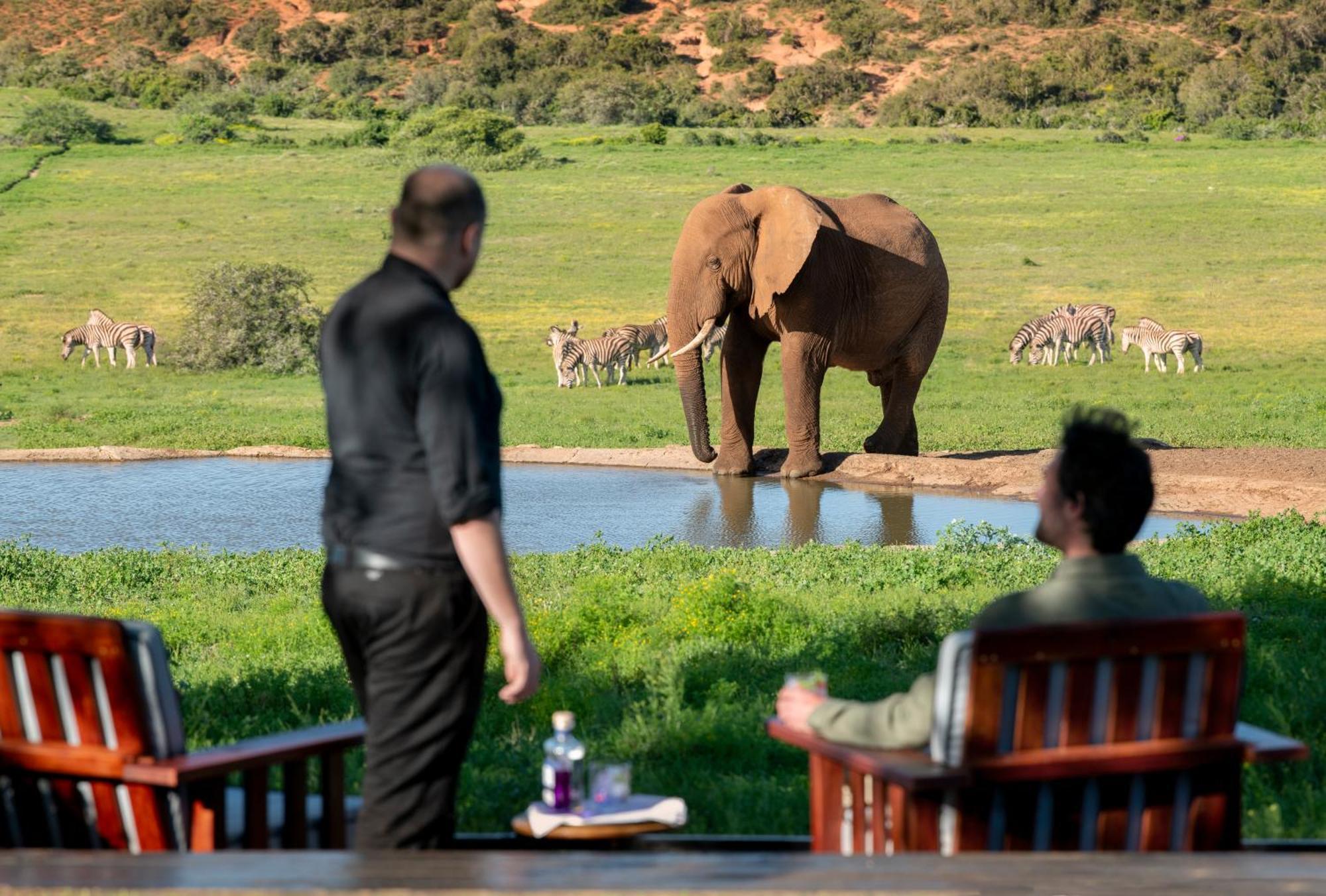 Gorah Elephant Camp Addo Esterno foto