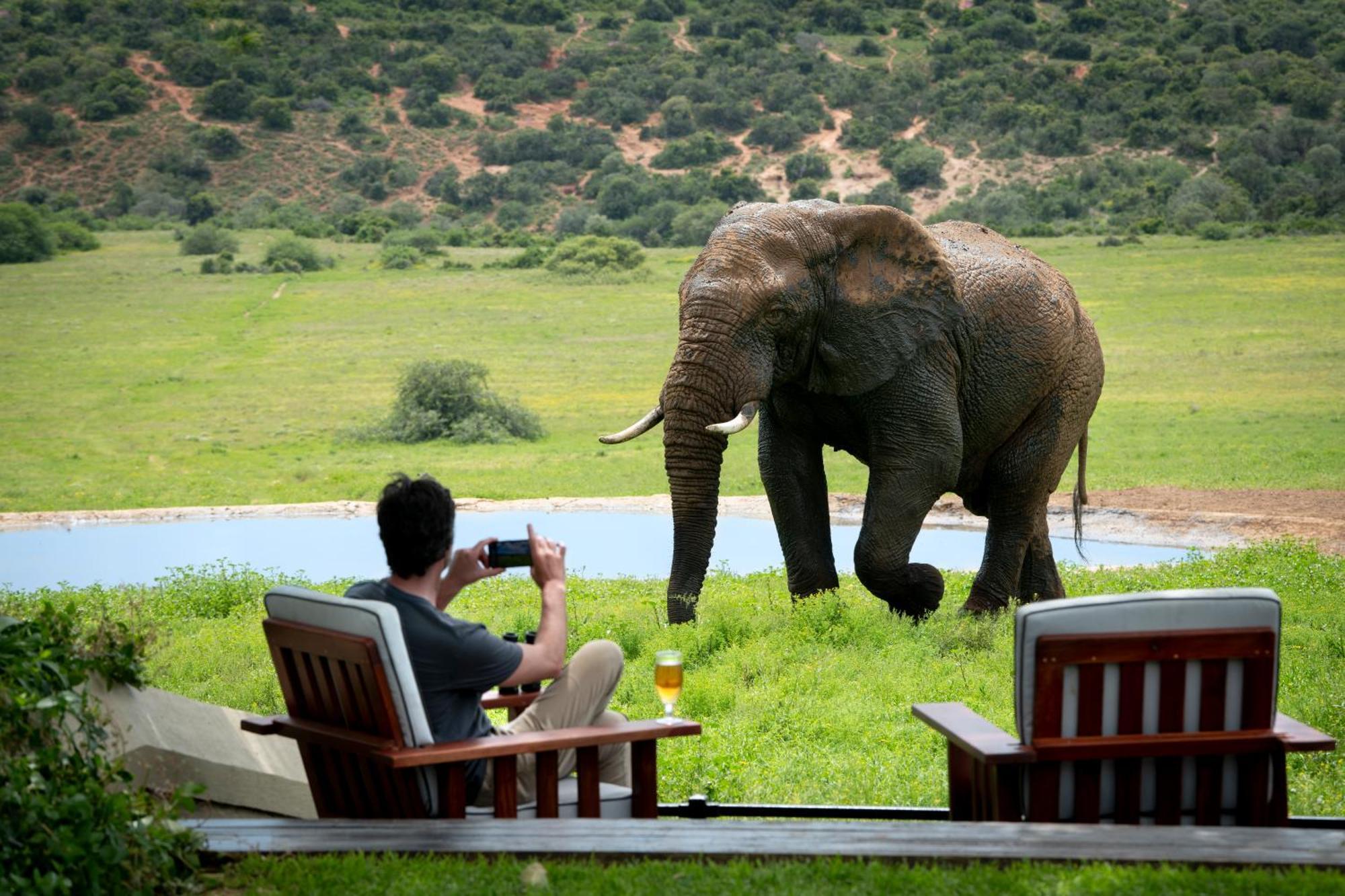 Gorah Elephant Camp Addo Esterno foto
