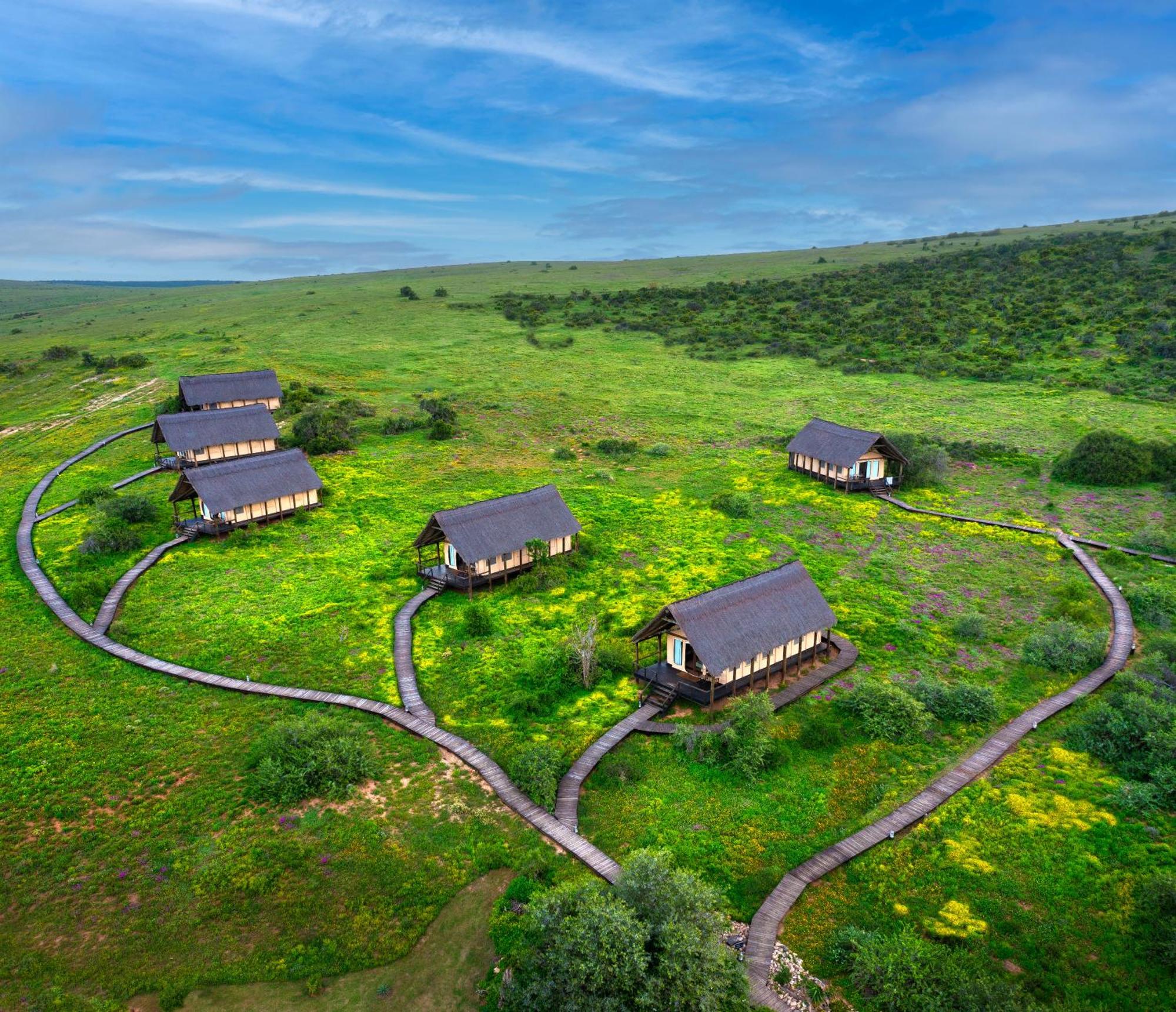 Gorah Elephant Camp Addo Esterno foto